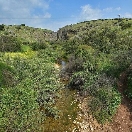 Mul Kinneret Livnim Buitenkant foto