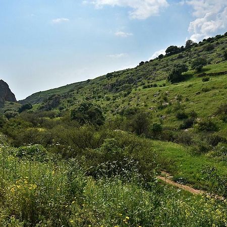 Mul Kinneret Livnim Buitenkant foto