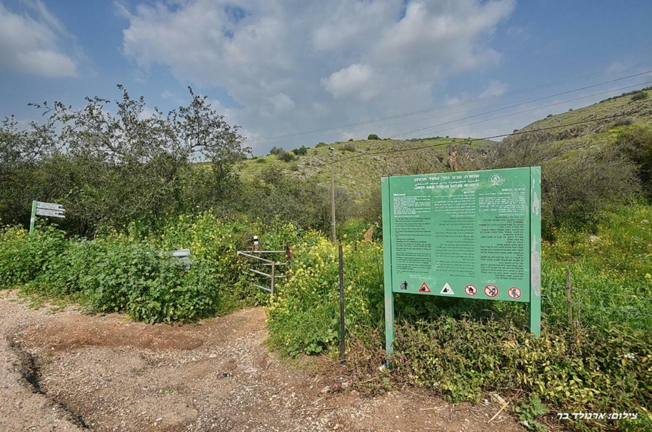 Mul Kinneret Livnim Buitenkant foto