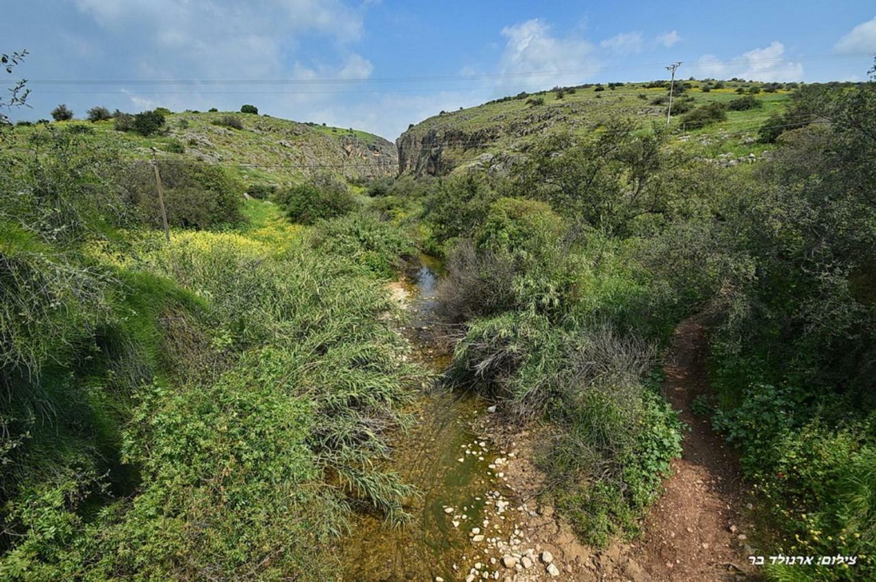 Mul Kinneret Livnim Buitenkant foto