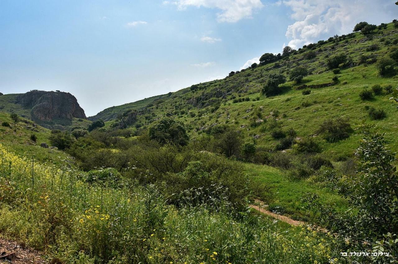 Mul Kinneret Livnim Buitenkant foto